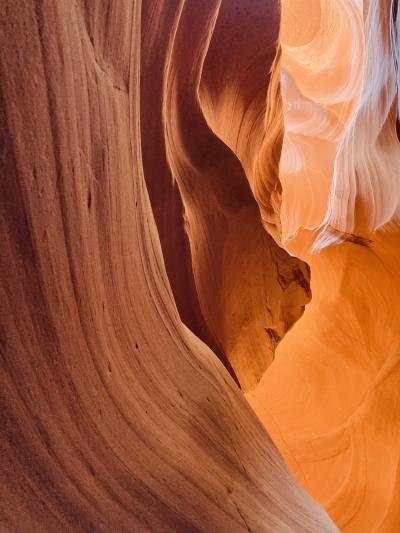 アメリカ 冒険家族旅　2,400km　⑥