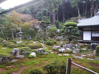 旅行体験記2025~河内長野~大阪府知事吉村洋文知事の故郷訪問!バイキング、お寺で大満喫!