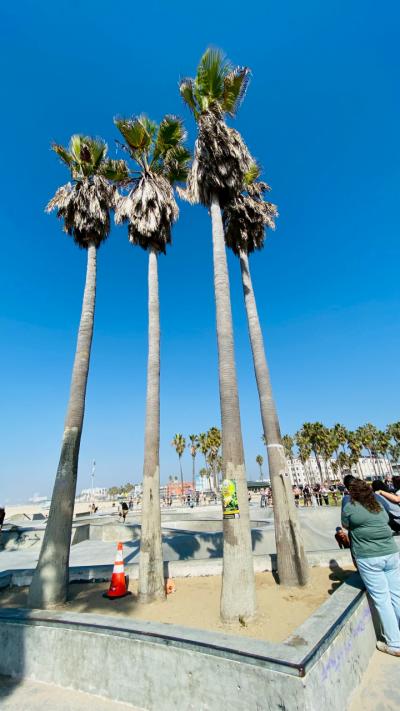 夫婦二人☆初LA ②