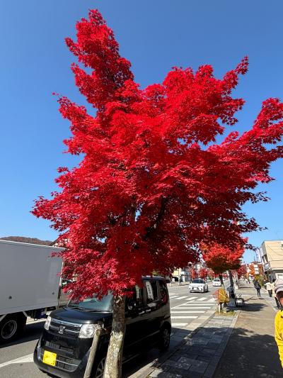 軽井沢の紅葉が素晴らしすぎた☆☆☆☆☆