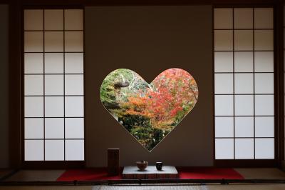 わたしは、滋賀派。