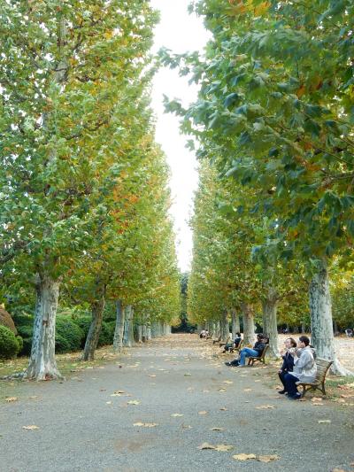 「　秋をさがしに　新宿御苑　　　ぶらり　さんぽ　」　2025
