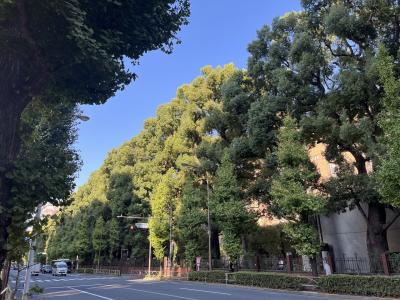 2025年10月28~30日 普段