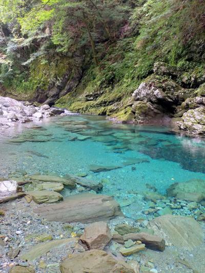 初めての高知旅行2025…２日目