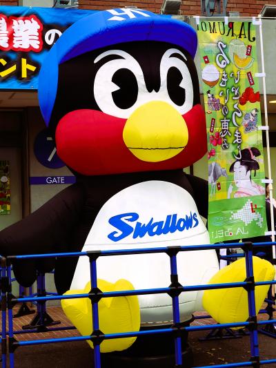 2025年秋 神宮球場に行く（雨の中のヤクルト-阪神戦）