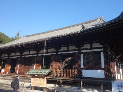 薬師寺の東院堂には聖観世音菩薩がいらっしゃる。堂とともに国宝です。