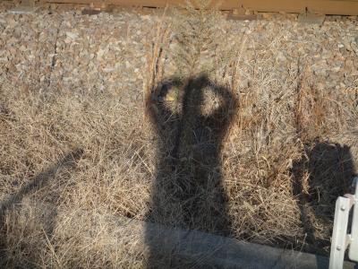 西ノ京から近鉄名古屋まで近鉄に乗りました。