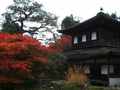 2007.11 紅葉の京都~京都・滋賀の旅①