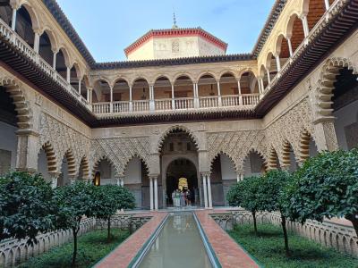 わがままシニア夫婦と息子　憧れのスペイン家族旅行　メリダに行った　その6