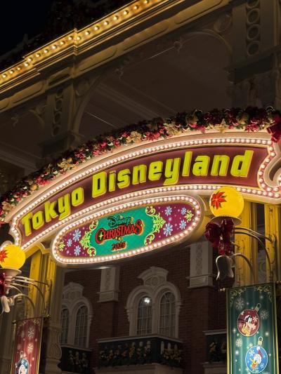 午前ひとり午後親友と還暦東京ディズニーランド