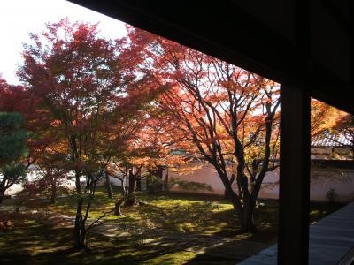 2007.11 紅葉の京都~京都・滋賀の旅③