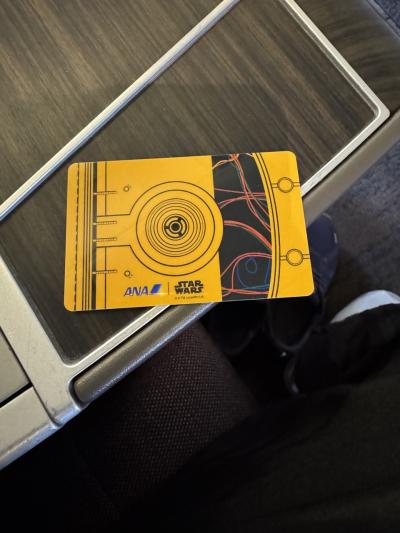 ANA DIA確定!&カミさんバースデー旅 クアラルンプール篇と石垣タッチ(笑)