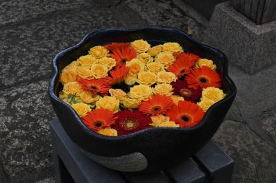 2025年11月6～9、11日　普段