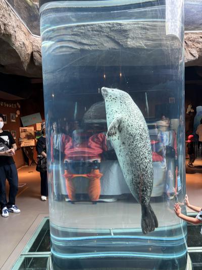 酷暑の都心を脱出して札幌から富良野、そして旭川へ。⑪北海道の最終日は旭川の旭山動物園へ。