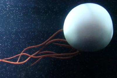 11月の鶴岡・酒田・山形の記録①