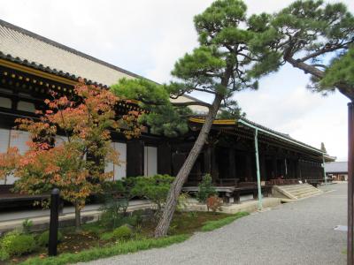 京都 三十三間堂と京料理を楽しむ