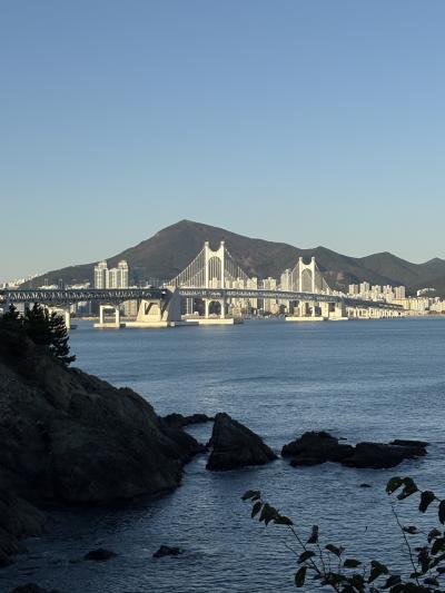 ひとり釜山　二妓台　通度寺　太宗台　釜山市民公園　東横イン釜山中央駅！
