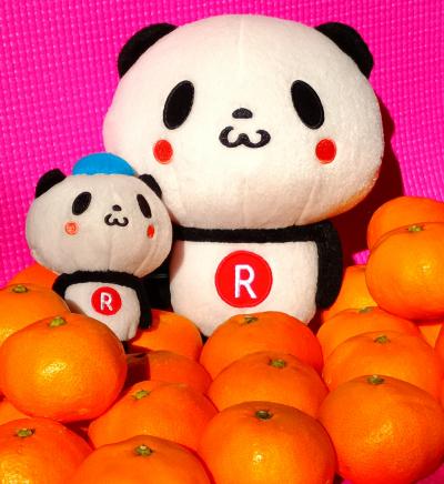 3匹の楽天お買い物パンダと行く和歌山＊紀三井寺・紀州東照宮・雑賀崎漁港・看板猫がいる双子島荘・サクアス