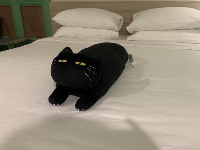 出張バンコク2025   2日目　仕事も終わった。アイコンサイアムで念願の抱き枕を買う