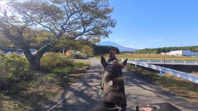 小淵沢・河口湖・御殿場での外乗旅３日目