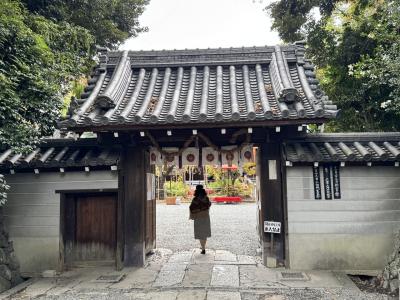 20251113 水無瀬神宮土御門天皇祭献茶式と国宝「待庵」拝観