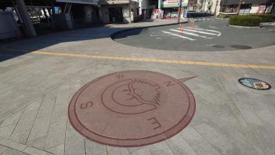 兜蟹を見に行く