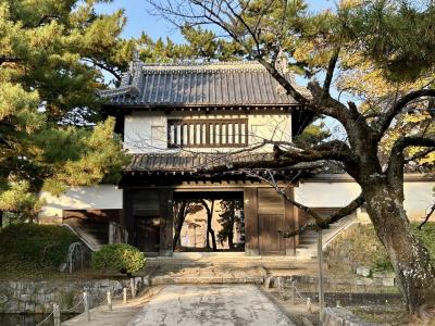 秋の土浦散策2025