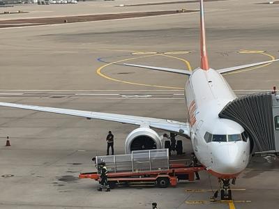 2025年11月韓国鉄道旅行6（チェジュ航空1201便で帰途）