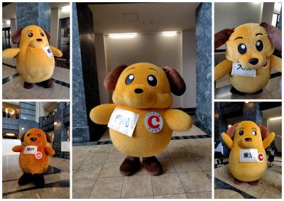 カスタムくん大集…、いやプチ集合の神戸税関オープンカスタム　2025.11.15