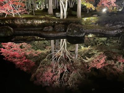 京都の紅葉めぐり VIALA annex 京都鷹峯 泊