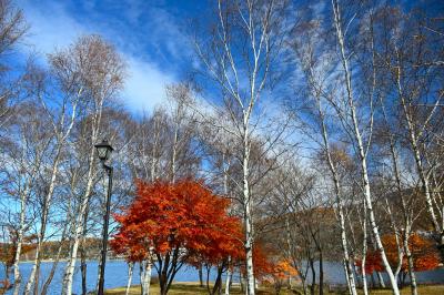 信州紅葉ツーリング　女神湖から白樺湖・霧ヶ峰へそして八ヶ岳原村へ向かいました。