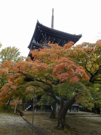 2025年11月紅葉ちょっと手前の京都 その3~真如堂辺り。夜は高台寺和久傳で序破急の懐石を楽しむ