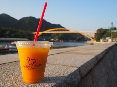 ★瀬戸内海を堪能★ 秋の愛媛･広島しまなみ海道エリア4泊5日1人旅 ④多々羅大橋⇒高根大橋⇒生口橋　3日目:生口島泊