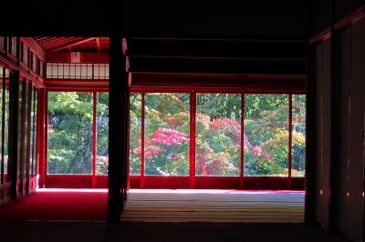 2025年11月紅葉ちょっと手前の京都　その４～南禅寺塔頭の金地院・天授庵・南禅院と水路閣