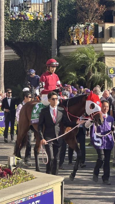 第3日 米西海岸2週間、競馬の祭典ブリーダーズカップ(サンディエゴ・デル・マー競馬場)