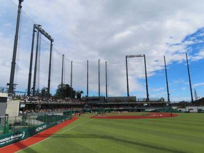 プロ野球秋季キャンプ見学 東京&松山へ