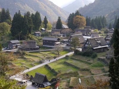 &#127809; 富山の「きときと」旬の味と紅葉を巡る旅 &#128663;