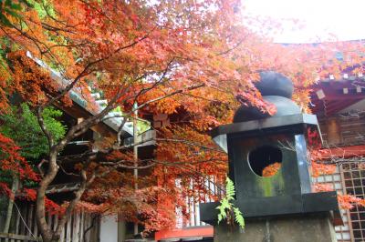 秋の大山詣りと小田原城・菊花展！