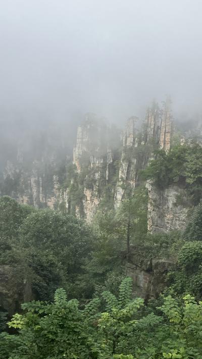 武陵源の上から下からも、充分楽しみました。