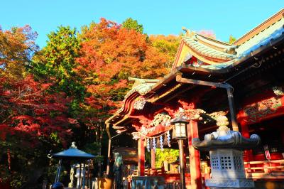 紅葉の高尾山＆小仏城山　～まさかの恐怖体験も!