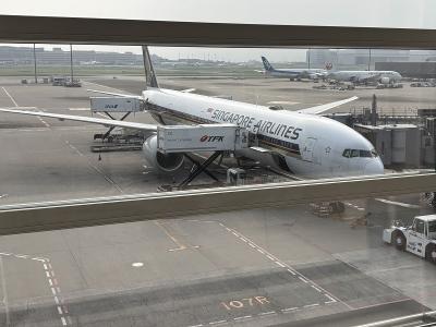 一人ぼっちのウブド 美味しいものは? その4 宿&航空機&あとがき編