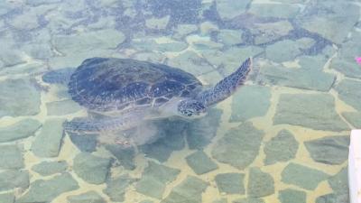 2025 宮古島 シギラミラージュ③