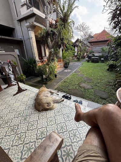 2025年7月 一人ぼっちのウブド 美味しい物は? その2