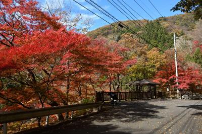 上州紅葉ツーリング　八ヶ岳から山越えして群馬県上野村の川の駅へ行きました。