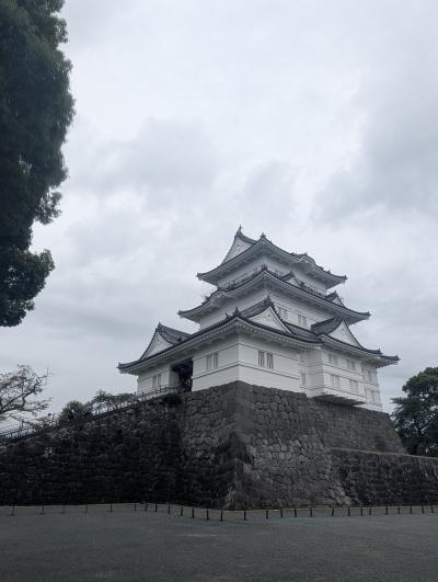 小田原城から早川漁港へ