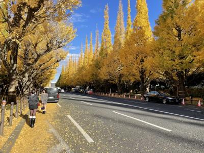 フツーの休日 in 赤坂《朝ラーと銀杏並木とSAUNA TOKYOと》