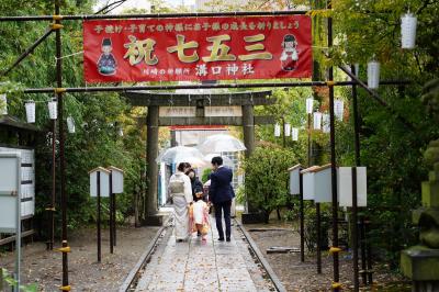 武蔵の散歩～大山街道・溝の口～