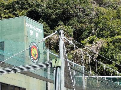 現存１２天守めぐり　四日目は阪神タイガース　お城はなし！