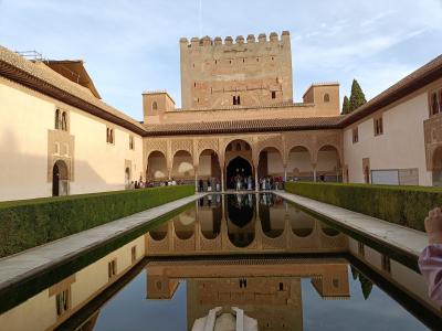 わがままシニア夫婦と息子 憧れのスペイン家族旅行 アルハンブラ宮…