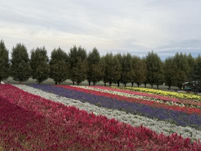 ガーデン巡りがしたくて帯広から富良野へそしてまた帯広へ②